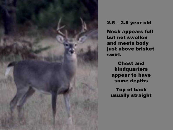 older mature texas Older mature texas